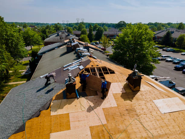 Best Flat Roof Repair Services  in Summitville, IN